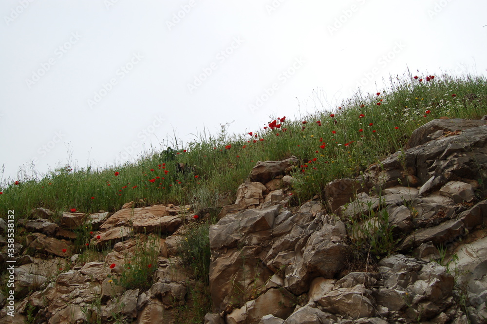 Mountains in Kurdistan Region Iraq near Sulaimaniyah Sulimani Erbil Hawraman Dokan Lake Mountains in Kurdistan Region Iraq near Sulaimaniyah Sulimani Erbil Hawraman Dokan Lake