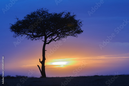 It's Sunset in Kenya
