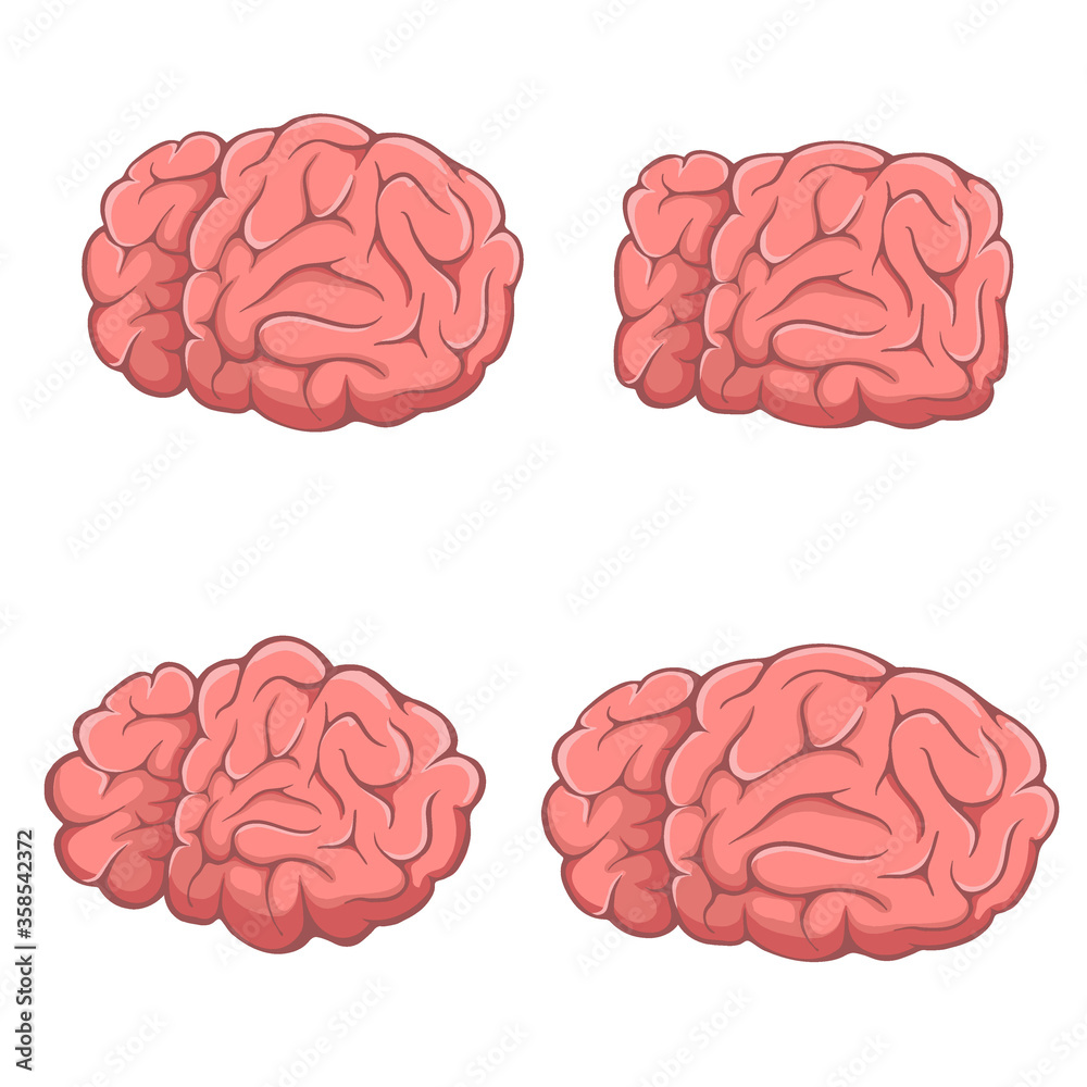 Set of brains Set of brains
