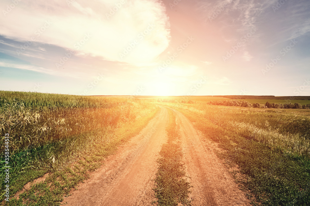 Fototapeta premium Sunset rural farm meadow horizon view. High quality photo