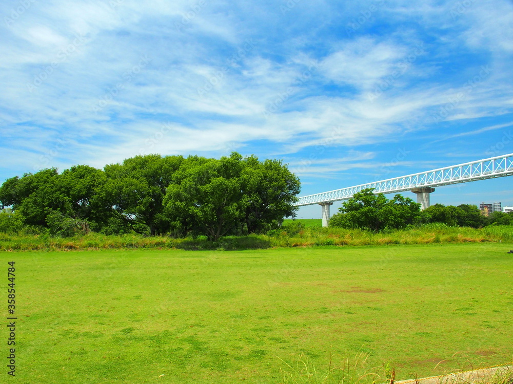 初夏の江戸川河川敷の草原と夏木立と青空風景