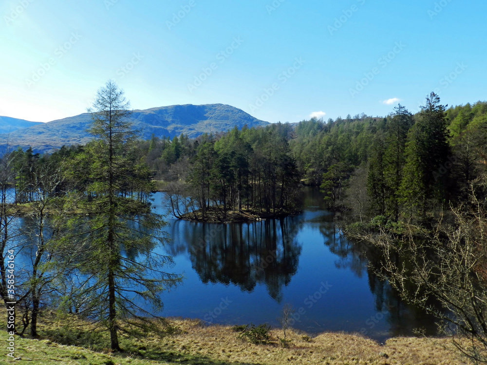 landscape view of Tarn Hows in the Lake District, Cumbria
