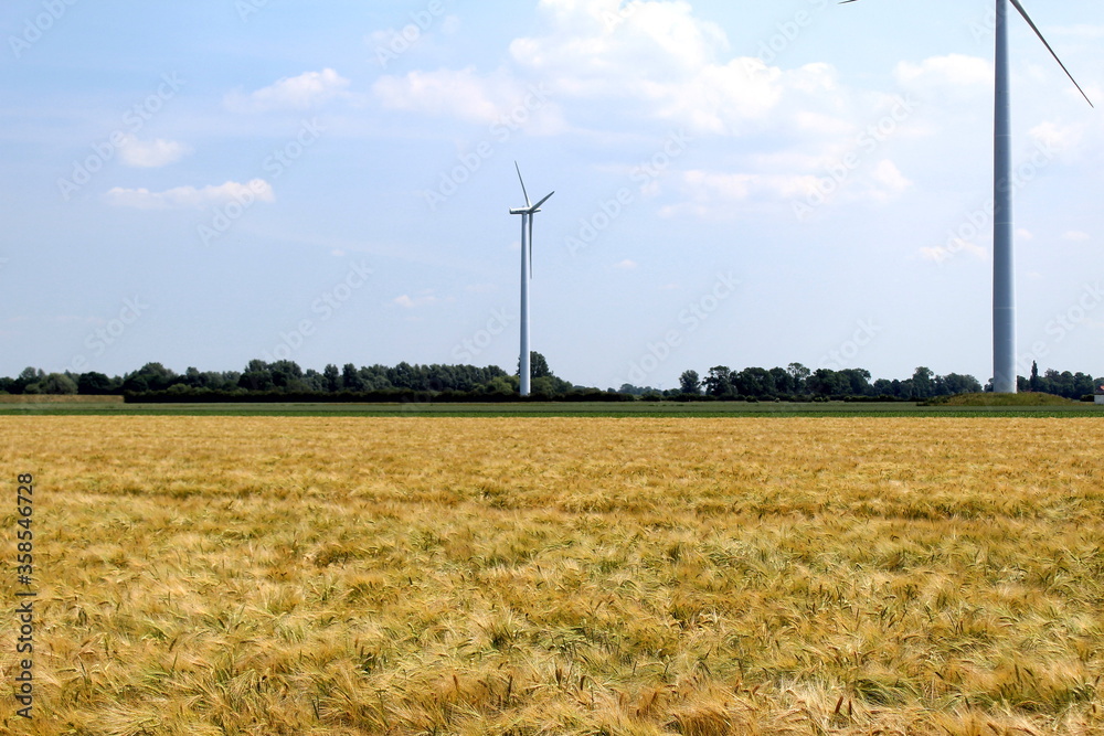 Fototapeta premium wind, energie, kraft, turbine, elektrizität, windmühle, umwelt, alternative, himmel, generator, bauernhof, green, windkraftanlage, feld, erneuerbar, landschaft, ecology, blau, natur, electric, technik