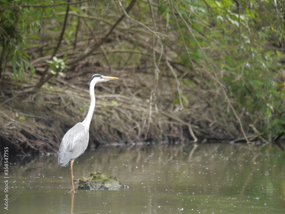 Danube Delta Danube Delta