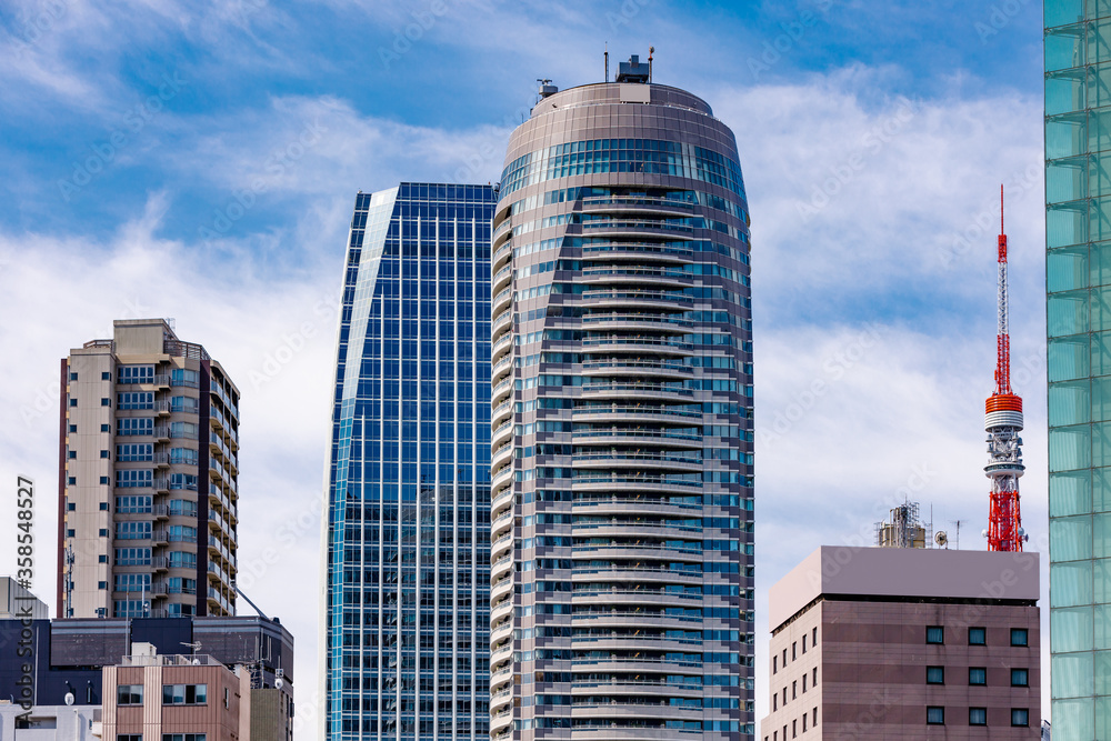 Fototapeta premium そびえ立つ東京の高層ビル群