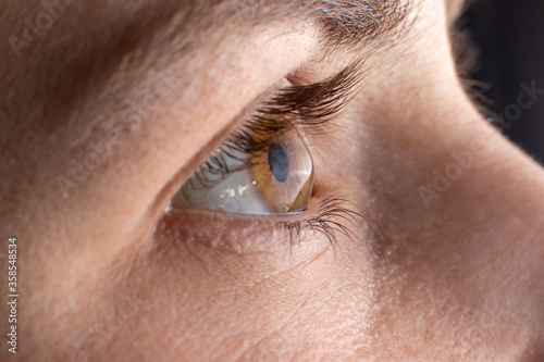 Quadro em tela Macro eye photo