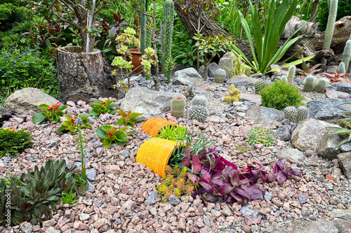 Rockery in the garden with stones and variety of different flowers and plants. Landscape design of the garden with cactus, pots, plants and stones. photo