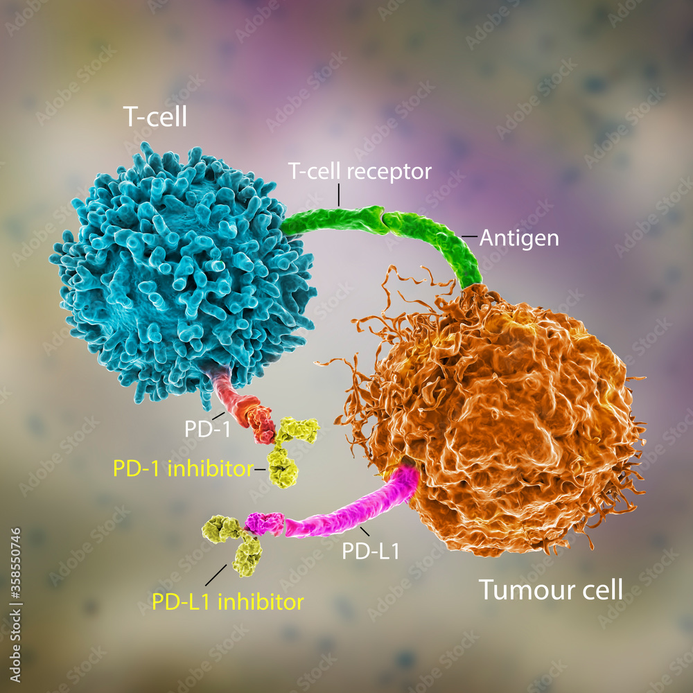 Immune Checkpoint Inhibitor
