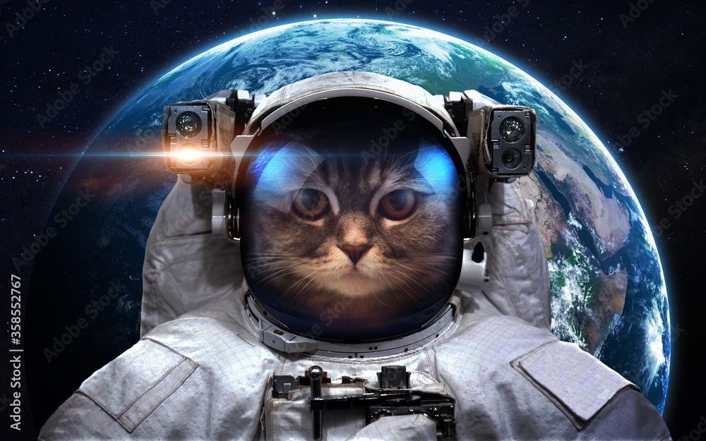 Cat astronaut and Earth - obrazy, fototapety, plakaty 