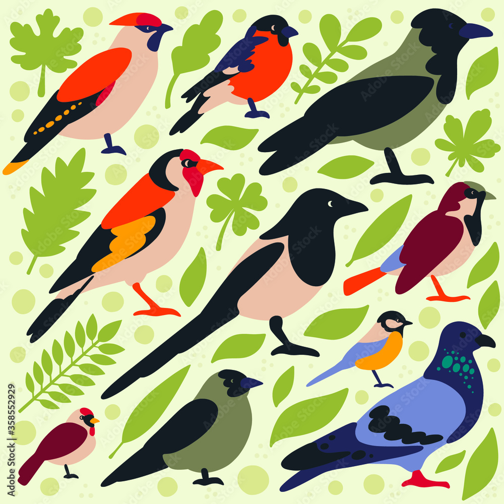 Birds Birds