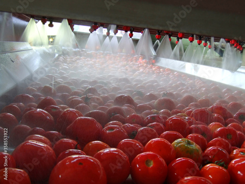Tomato processing