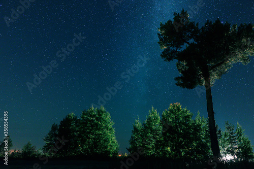 Fototapeta Naklejka Na Ścianę i Meble -  Starry sky in the forest