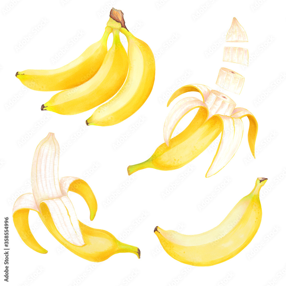Hand drawn watercolor illustrations of yellow bananas fruits set. 