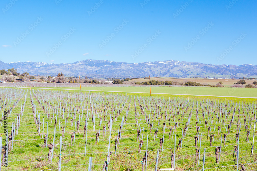 Fototapeta premium Santa Ynez Valley California USA