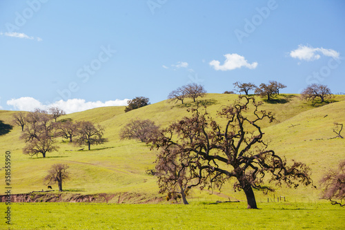 Santa Ynez Valley Landscape USA photo