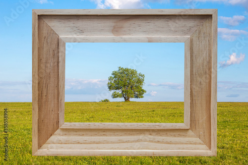 picture frame with view of meadow and one tree