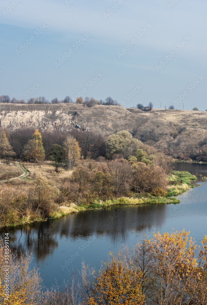 pond with water near green trees in forest against blue sky
