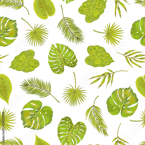 Seamless green philodendron fern bamboo leaf areca palm vector pattern. Natural simple background on white. Hand drawn leaves tropical pattern. © Kamila
