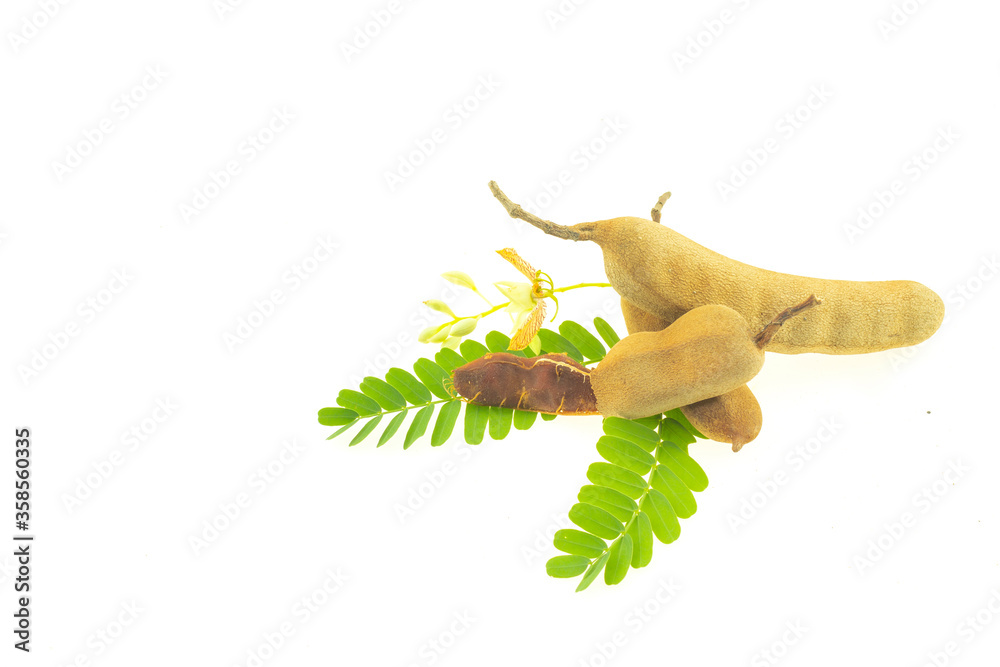 Naklejka premium Ripe tamarind