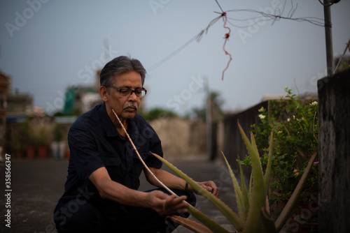 An old/aged Indian Bengali man in blue shirt is gardening on a rooftop under the open sky. Indian lifestyle and seniors