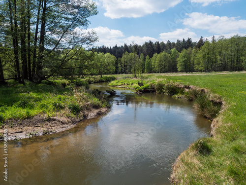 idyllic landscape of winding river stream meander at lush green meadow with deciduous tree forest  blue sky backgound. Late spring sunny afternoon  vibrant colors