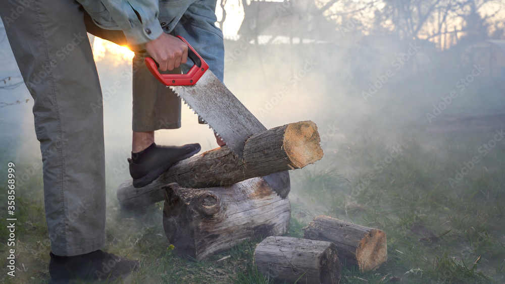 Man saws a tree at sunset in smoke. Sawing wood board with hand saw in fog Man saws a tree at sunset in smoke. Sawing wood board with hand saw in fog