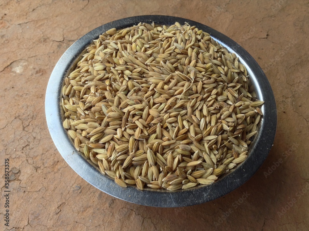 organic fresh raw rice inside the steel bowl in the floor from top view organic fresh raw rice inside the steel bowl in the floor from top view
