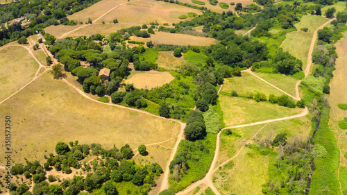 Aerial view of Caffarella park in Rome, Italy. There are many trees, bushes and green grass on this beautiful spring day. photo