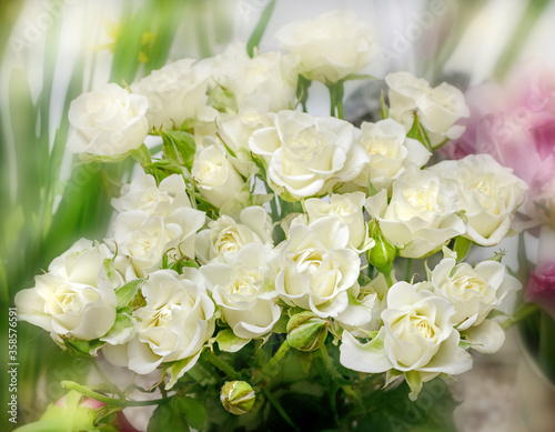 Bouquet of white roses