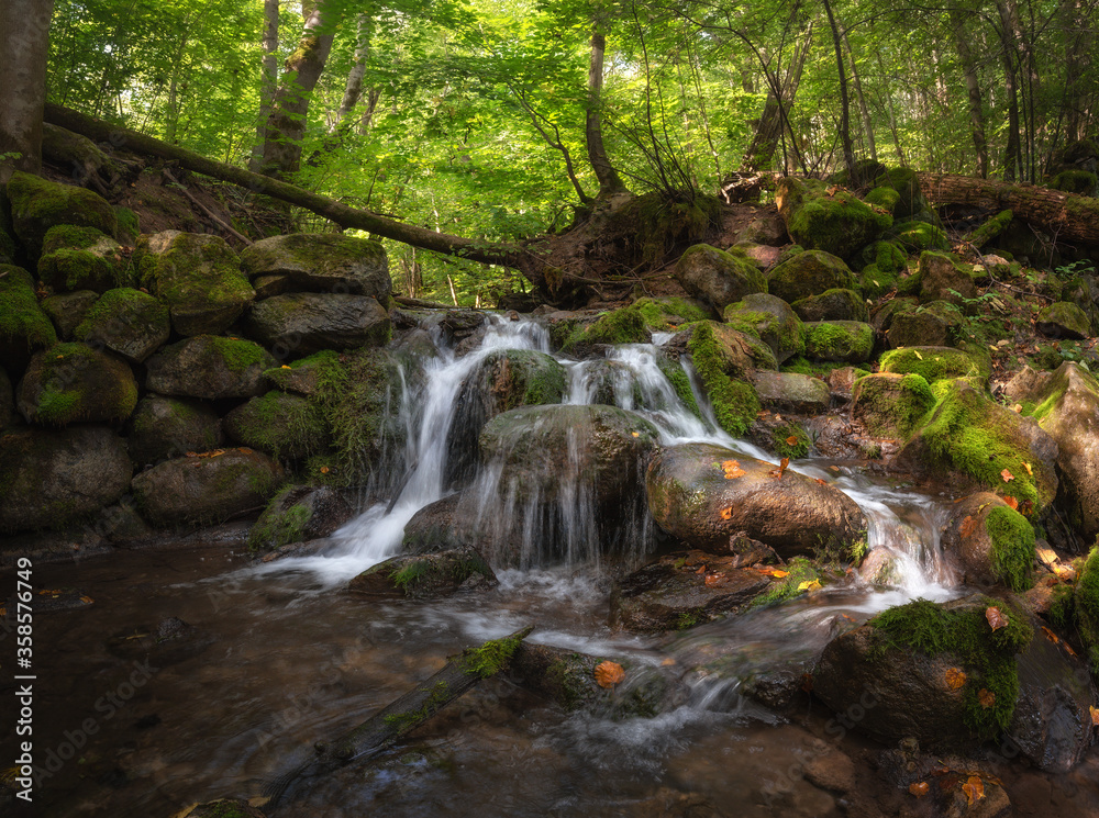 Mill Stream, Surroundings Of Ancient City Izborsk, Pskov Region, Russia.Beautiful Forest Creek In The Shade Of Green Trees. Landmark of the Izborsk-Maly Valley.Wet Stones And Fallen Leaves In The Sun