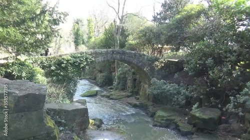 flowing river and small old bridge in forest
