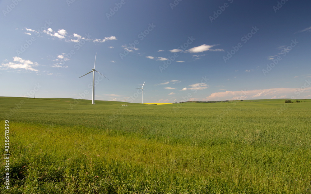 Obraz premium A wind farm producing renewable energy on the Canadian Prairies under a clear blue sky on the Alberta prairies.