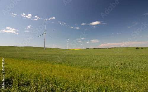  A wind farm producing renewable energy on the Canadian Prairies under a clear blue sky on the Alberta prairies.