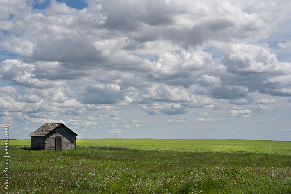 A landscape picture with old grain shed in a grass field on the Canadian Prairies as farmers seed their crops in Rockyview County.