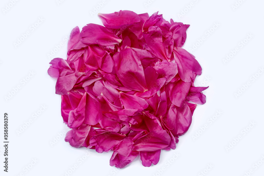 pink circle made from peony petals on white background