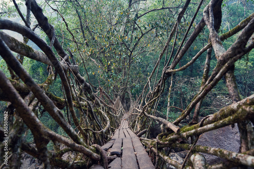 Tableau sur toile Living Root Bridge in Cherrapunjee, Meghalaya, India