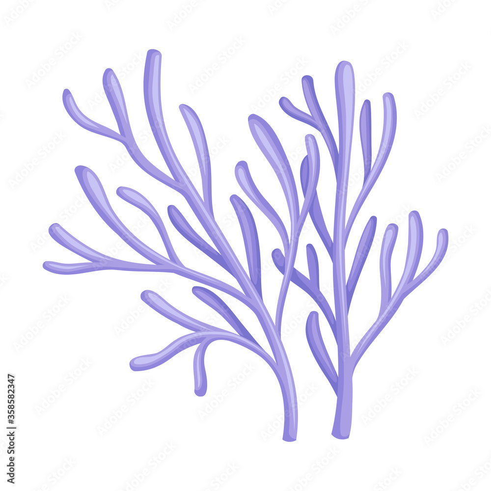 Underwater Seaweed or Algae Growing on the Ocean Bottom Vector Illustration Underwater Seaweed or Algae Growing on the Ocean Bottom Vector Illustration