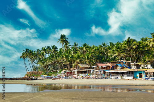 Beautiful tropical beach with palms in Goa