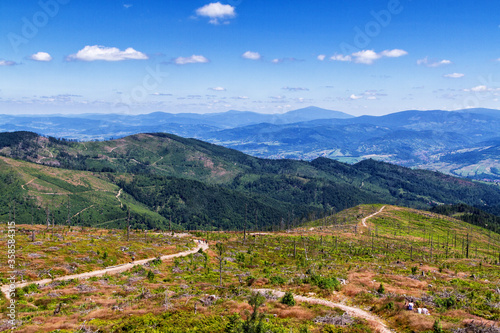 Fototapeta Naklejka Na Ścianę i Meble -  Summer landscape in Beskid Slaski, Poland