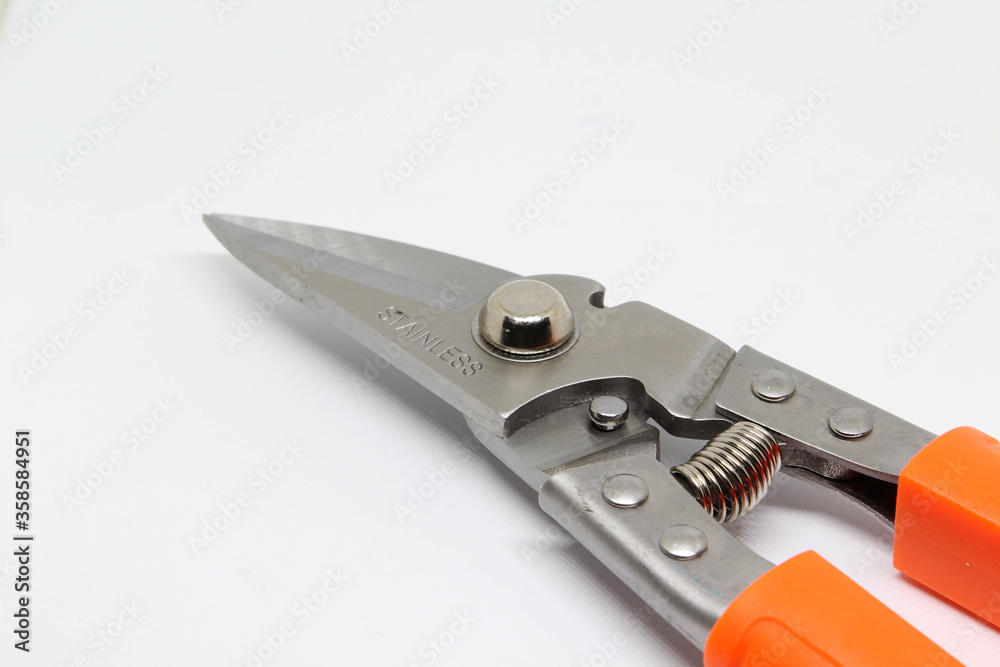 Obraz premium Garden scissors isolate on white background.