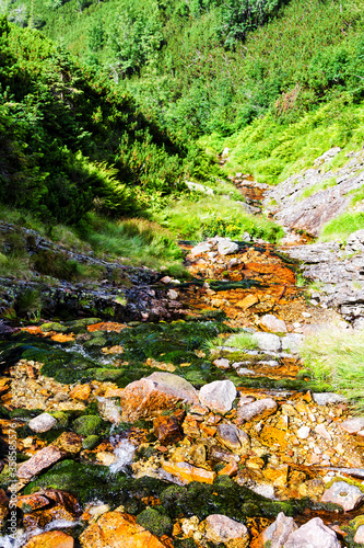 Flowing water in High Tatras, Poland photo