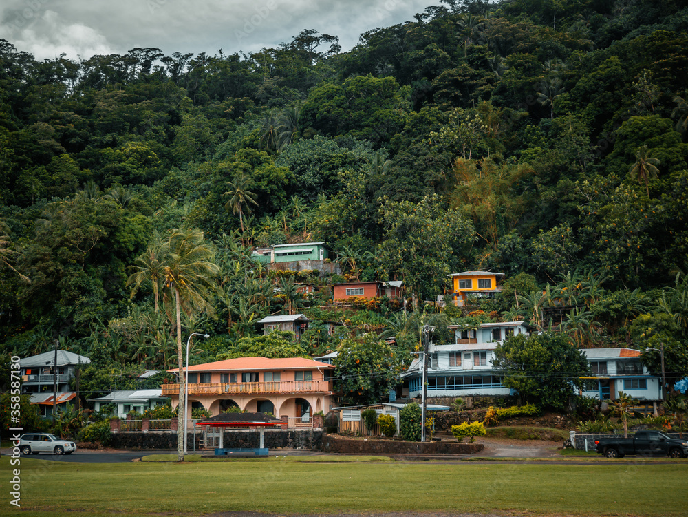 Typical tropical island houses in Pago Pago, Tutuila, American Samoa
