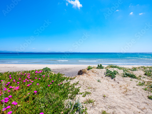 Coaquaddus beach in spring - Sardinia photo