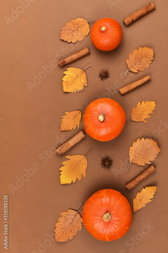 Orange pumpkins lie in a row with autumn leaves, vanilla sticks and thyme stars on a brown background. Harvest concept. View from above. Place for an inscription.
