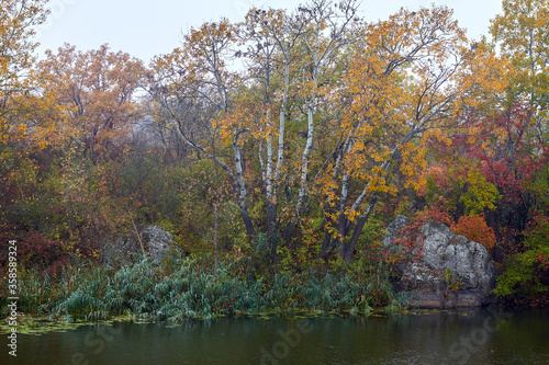 Autumn countryside landscape with red, yellow, green autumn trees on the river bank on a early foggy morning