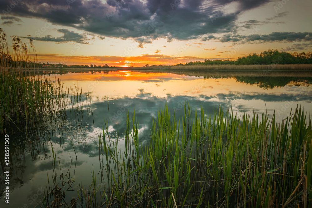 Scenic view at beautiful spring sunset with reflection on a shiny lake with green reeds, bushes, grass, golden sun rays, calm water ,deep blue cloudy sky , glow on background, spring evening landscape Scenic view at beautiful spring sunset with reflection on a shiny lake with green reeds, bushes, grass, golden sun rays, calm water ,deep blue cloudy sky , glow on background, spring evening landscape