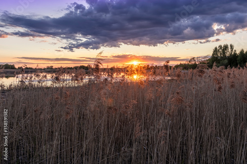 Scenic view at beautiful spring sunset with reflection on a shiny lake with green reeds, bushes, grass, golden sun rays, calm water ,deep blue cloudy sky , glow on background, spring evening landscape