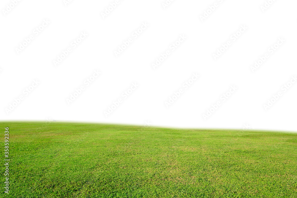 green grass on a white background