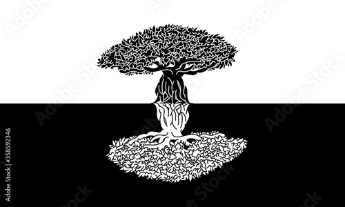 Ficus Benghalensis Vector  Illustration