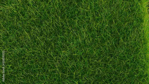 Du gazon vert vue du dessus 
